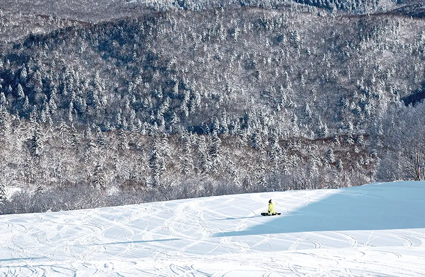 Sapporo Kokusai Ski Resort