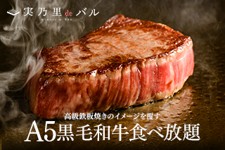 『シャトーブリアンとA5黒毛和牛霜降り肉と赤身肉ステーキコース』A5黒毛和牛食べ放題ディナー☆2食付