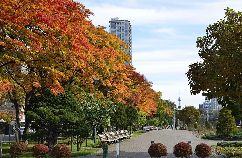 大通公園